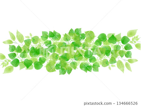 手繪背景插圖，描繪了新鮮的綠葉。 134666526
