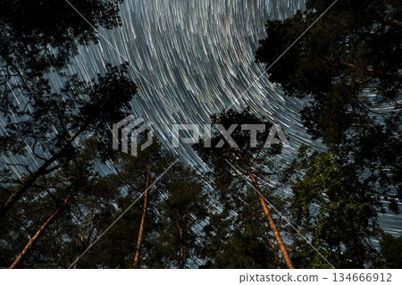 Star trails illuminate the night sky above a serene forest during a clear evening Star trails illuminate the night sky above a serene forest during a clear evening 134666912