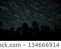 Star trails illuminate the night sky over a dense forest in a serene location 134666914