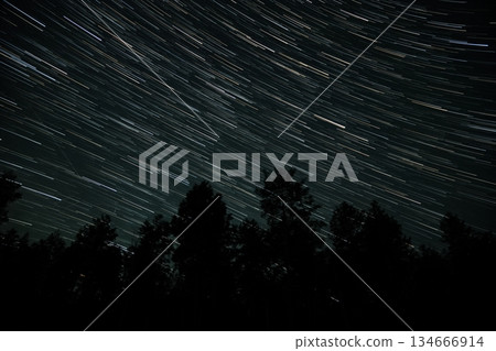 Star trails illuminate the night sky over a dense forest in a serene location Star trails illuminate the night sky over a dense forest in a serene location 134666914