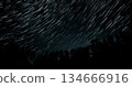 Long exposure capturing star trails over a forest at night demonstrating celestial movement 134666916