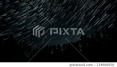 Long exposure capturing star trails over a forest at night demonstrating celestial movement 134666916