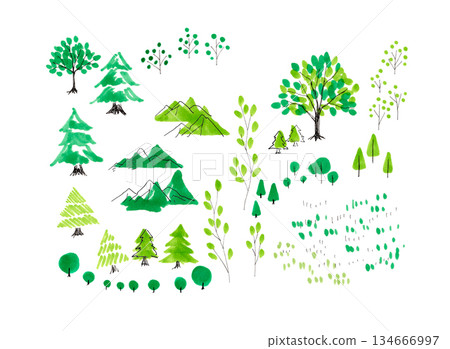 Watercolor illustration of a tree; illustration background; forest; woods; mountain 134666997