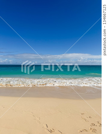 夏威夷懷馬納洛海灘公園 碧海藍天 熱帶風光 夏威夷懷馬納洛海灘公園 碧海藍天 熱帶風光 134667125
