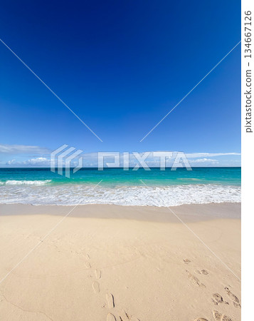夏威夷懷馬納洛海灘公園 碧海藍天 熱帶風光 夏威夷懷馬納洛海灘公園 碧海藍天 熱帶風光 134667126
