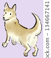 Illustration of a dog looking back while walking 134667141