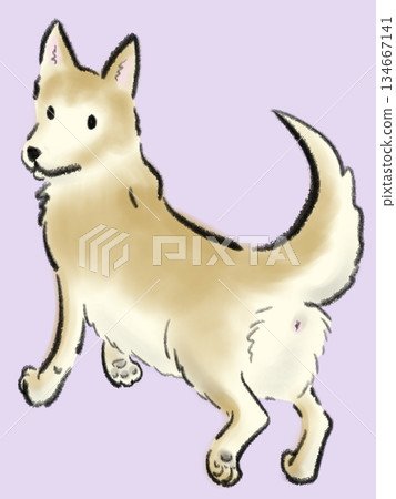 Illustration of a dog looking back while walking 134667141