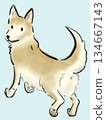 Illustration of a dog looking back while walking 134667143
