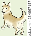 Illustration of a dog looking back while walking 134667157
