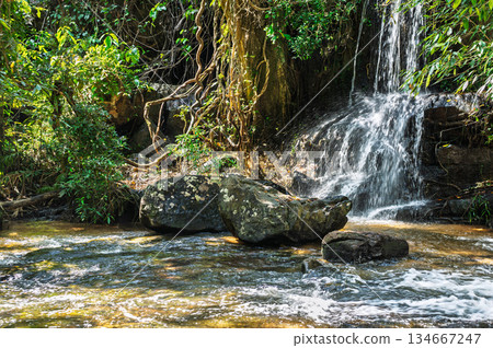 Scenic tropical waterfall flowing over rocks in green jungle forest environment during sunny day in cambodia asia 134667247