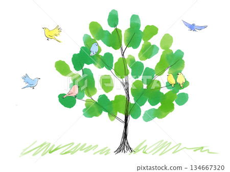 手繪水彩插圖，描繪了一隻小鳥和一棵大樹。 134667320