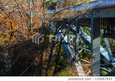 Tenryukyo Bridge in late autumn Tenryukyo Bridge in late autumn 134667643