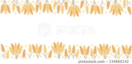 Frame with agricultural wheat and grain ears. Concept bread or farming, organic food. Vector illustration, copy space. Frame with agricultural wheat and grain ears. Concept bread or farming, organic food. Vector illustration, copy space. 134668142