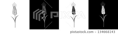 Wheat ear stylized doodle symbol logo. Set cereals sign with wheat, oats, rye, barley icon isolated on black and white background. Ears of wheat bread symbols. Wheat ear stylized doodle symbol logo. Set cereals sign with wheat, oats, rye, barley icon isolated on black and white background. Ears of wheat bread symbols. 134668143