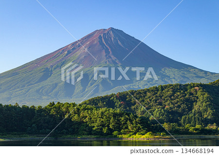 夏季從河口湖眺望富士山(近景) 夏季從河口湖眺望富士山(近景) 134668194