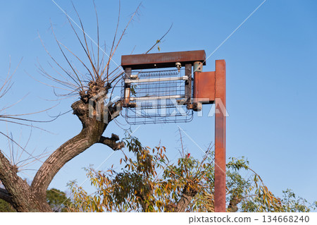 在大阪府松原市,一台生鏽的電動殺蟲劑和一棵枯樹矗立在藍色的冬天天空下。 在大阪府松原市,一台生鏽的電動殺蟲劑和一棵枯樹矗立在藍色的冬天天空下。 134668240