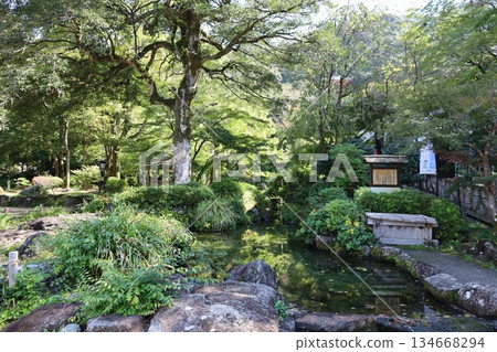岐阜公園（岐阜縣） 134668294