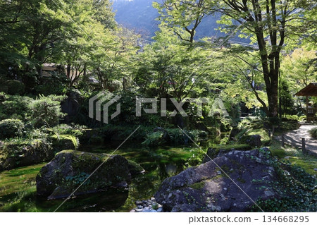 岐阜公園（岐阜縣） 134668295