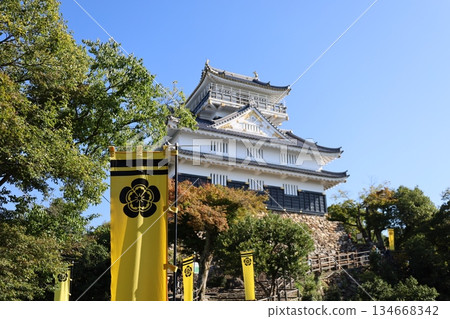 Gifu Castle (Gifu Prefecture) 134668342