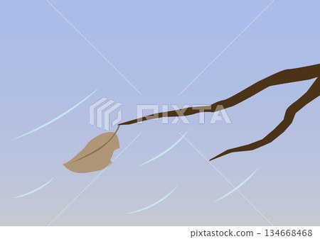 冬風和落葉 134668468