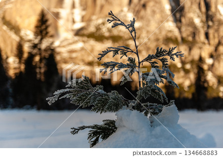 Winter in Yosemite Valley Winter in Yosemite Valley 134668883