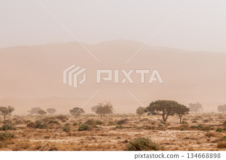 Sandstorm over sossusvlei Sandstorm over sossusvlei 134668898