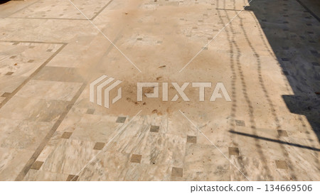 outdoor tiled surface with central dust patch outdoor tiled surface with central dust patch 134669506
