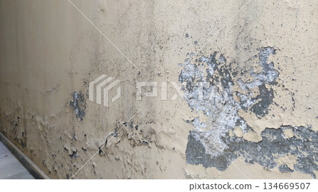 peeling wall paint with exposed rough surface peeling wall paint with exposed rough surface 134669507
