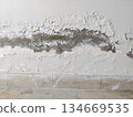 horizontal moisture damage on interior wall 134669535