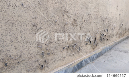 moisture damaged wall with blistering and efflorescence 134669537