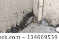 mold damaged wall corner with peeling paint and debris 134669539