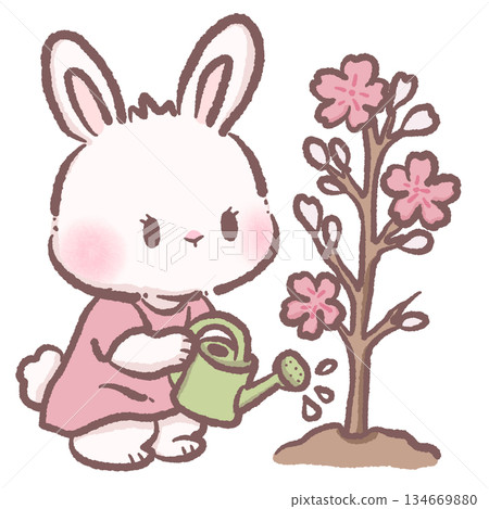 Cute Sakura Bunny Watering Cherry Blossom Tree Soft Pastel Rabbit Illustration Kawaii Spring Garden Clipart For Stickers Planners And Cards Cute Sakura Bunny Watering Cherry Blossom Tree Soft Pastel Rabbit Illustration Kawaii Spring Garden Clipart For Stickers Planners And Cards 134669880