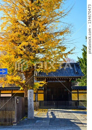 Saitama Prefecture Yojuin Temple Kawagoe 134670473