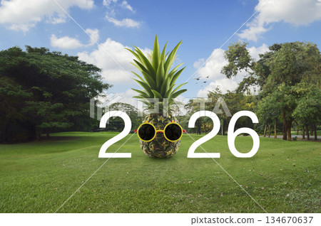 Happy new year 2026 summer holiday concept Happy new year 2026 summer holiday concept 134670637