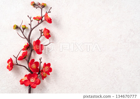 Lunar New Year, Chinese New Year, decorations, background Lunar New Year, Chinese New Year, decorations, background 134670777