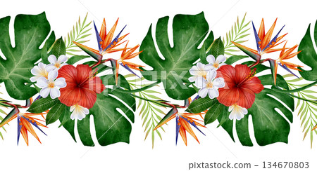 Tropical Flowers and Leaves Seamless Border 134670803