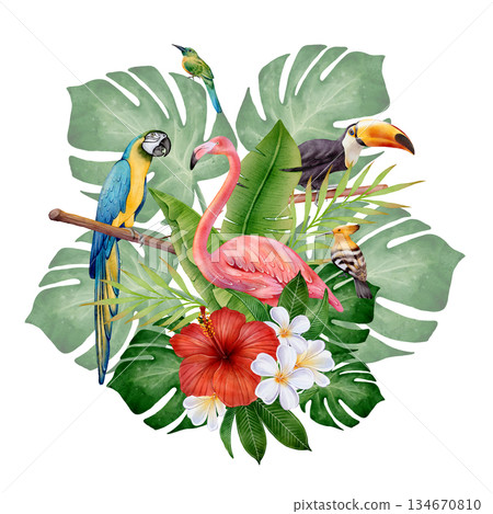 Watercolor Tropical Birds Watercolor Tropical Birds 134670810