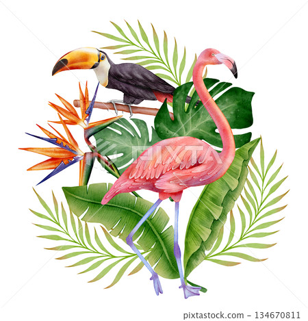 Watercolor Flamingo and Toucan Tropical Watercolor Flamingo and Toucan Tropical 134670811