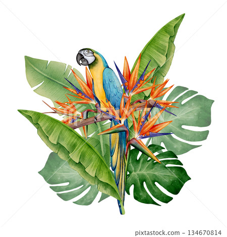 Watercolor Macaw with Tropical Leaves 134670814