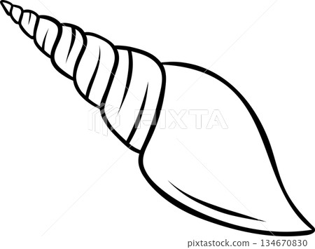 Sketch style seashell in simple black and white line art, doodle illustration of underwater marine life. Minimalist design for nautical and beach themes 134670830