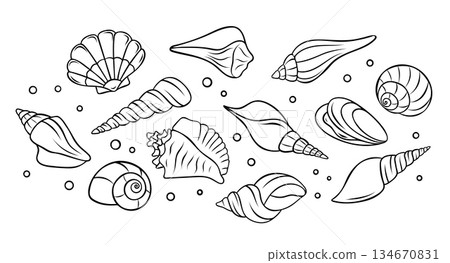 vector set collection of various seashells and underwater marine life depicted as simple black and white icons. Monochrome outline style for aquatic themes 134670831