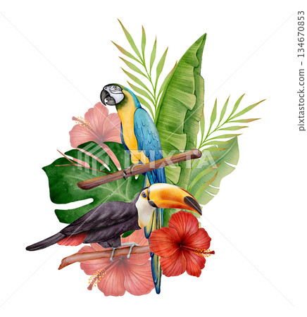 Watercolor Parrot and Toucan Composition Watercolor Parrot and Toucan Composition 134670853