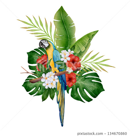 Watercolor Tropical Parrot 134670860