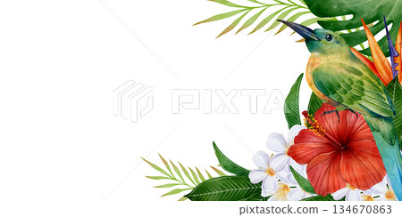 Tropical Bird Hibiscus Leaves Banner Frame 134670863