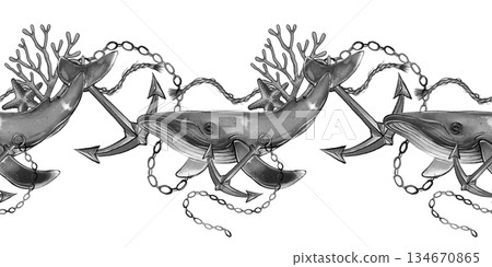 Seamless Whale Anchor Border 134670865