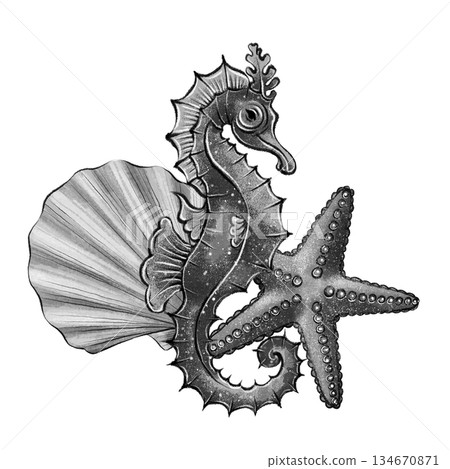 Black and white seahorse composition Black and white seahorse composition 134670871