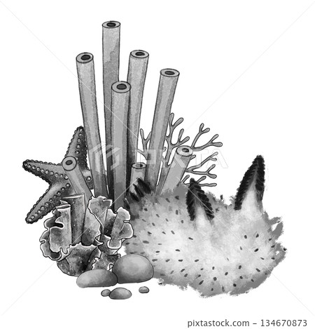 Black and white marine still life with slug Black and white marine still life with slug 134670873