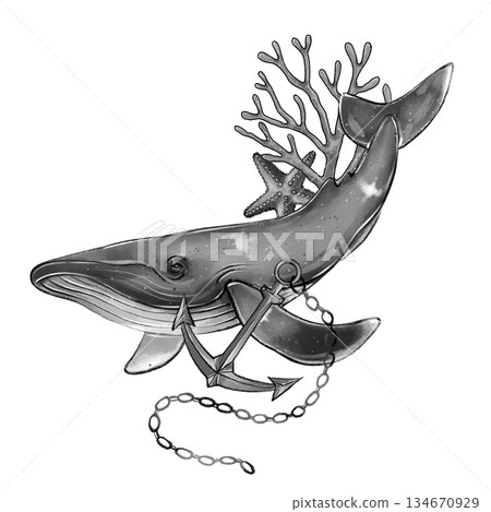 Black and white whale anchor composition 134670929