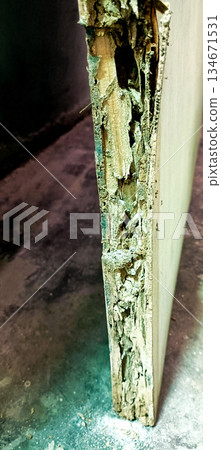 Termite Damaged Wooden Door Frame Close-Up 134671531