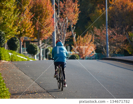 秋日的公園裡，落葉紛飛，一位女士騎著腳踏車上班。 134671782
